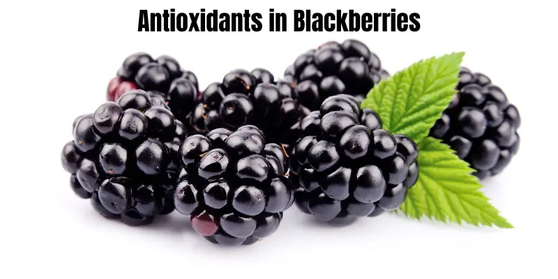Antioxidants in Blackberries
