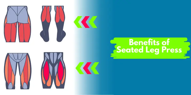 Benefits of Seated Leg Press
