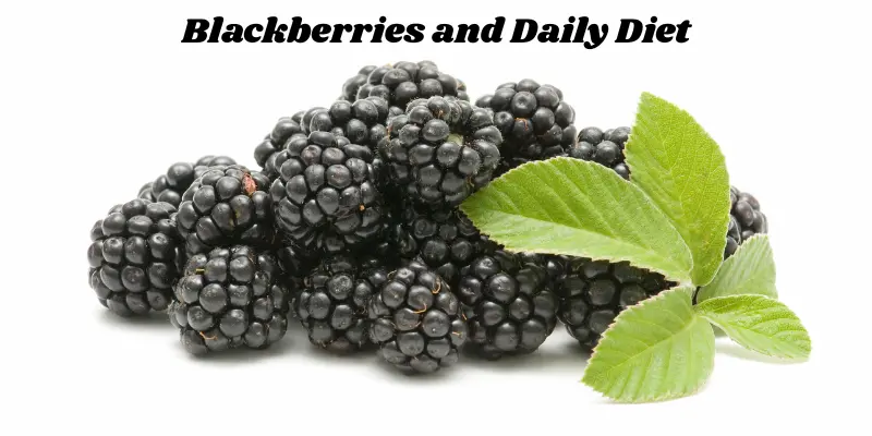 Blackberries and Daily Diet