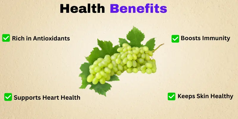 Health Benefits of Green Grapes