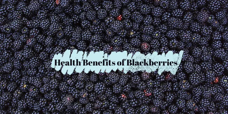 Health Benefits of Blackberries