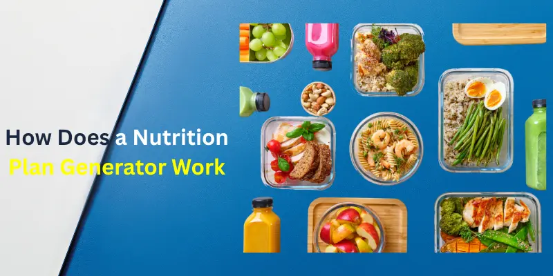 How Does a Nutrition Plan Generator Work?