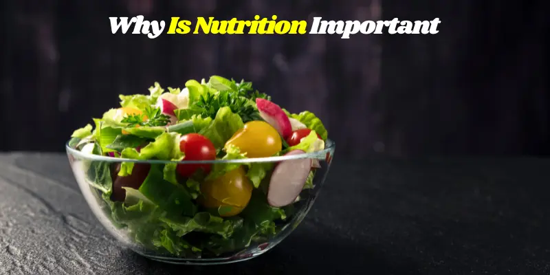 Why Is Nutrition Important?