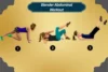 Fitness Blender Abdominal Workout - Burn Belly Fat Fast - Post Thumbnail