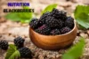 Nutrition Blackberries - Healthy Berry Benefits - Post Thumbnail
