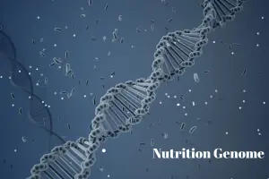 Nutrition Genome – Personalized DNA Diet Plans