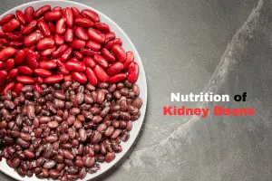Nutrition of Kidney Beans – Health Benefits & More